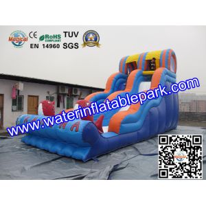 Inflatable Water Slide For Amusement Park / Inflatable Pool Slide