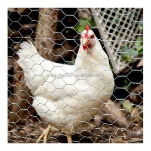 Hot Dip Galvanized 0.7mm Hexagonal Mesh for Security Fence and Field Farm Animal