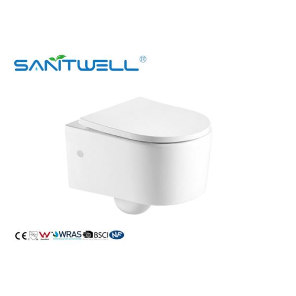 Quality Sewage Smooth Wall Mounted WC Single Piece With Rimless Flushing System wholesale
