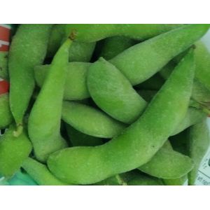 IQF Individual Quick Frozen Fresh Edamame / Soy Beans Pod / Kernel