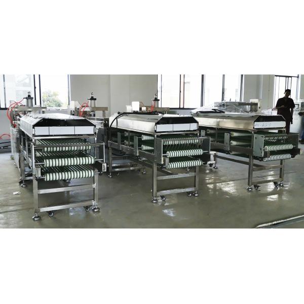 900pcs/h Commercial Corn Tortilla Machine