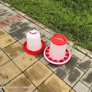 Freestanding Plastic Poultry Feeder 1L-12L Clean Dry