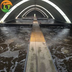 20GP Container Types Backyard Greenhouse Design with Small Size and Designable