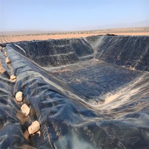 Industrial Design Style Geomembrane Smooth Dam Liner for Lower 1.5mm HDPE