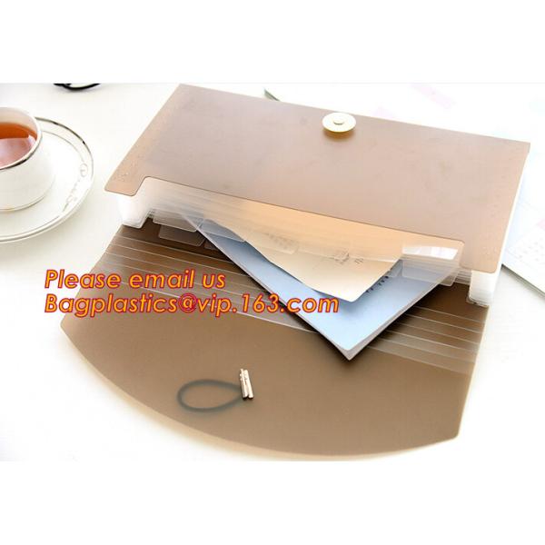 new popular a4/letter size plastic pp poly Expandable Desk top file folder