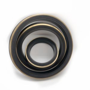 Oil And Gas Industry 1"-7" Oil Resistant Hammer Union Seals With Brass Back Up