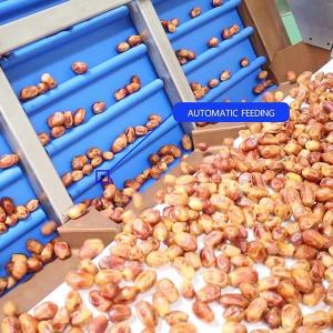 Cheap External Defect Detection 1.4 Tons per Hour 6-Lane Palm Dates Sorting Machine for sale
