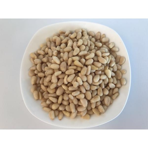 Organic Pine Raw Sprouted Nuts No Food Color Handpicked Material With OEM