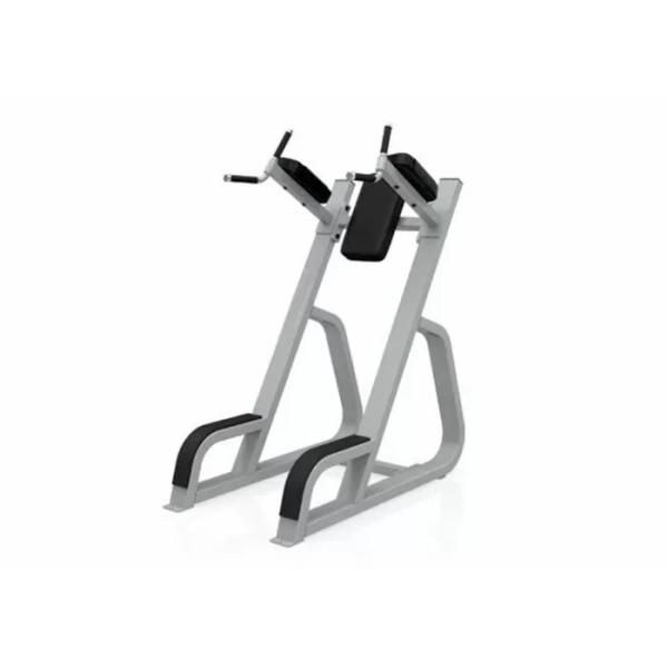 Quality Q235 HS Gym Equipment Strength Gym Online Leg Raise Exercise wholesale