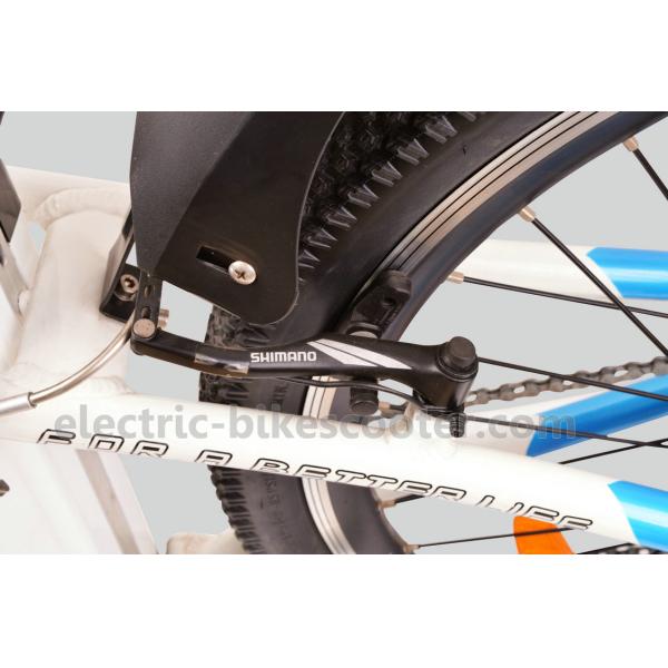 Full Suspension Electric Mountain Bicycles 250W 36V 65km 6 Speed