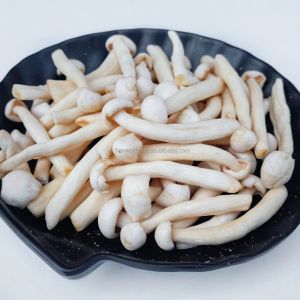Cheap Natural Organic Snacks White Beech Mushroom Healthy Vegetable VF Shimeji Mushroom for sale