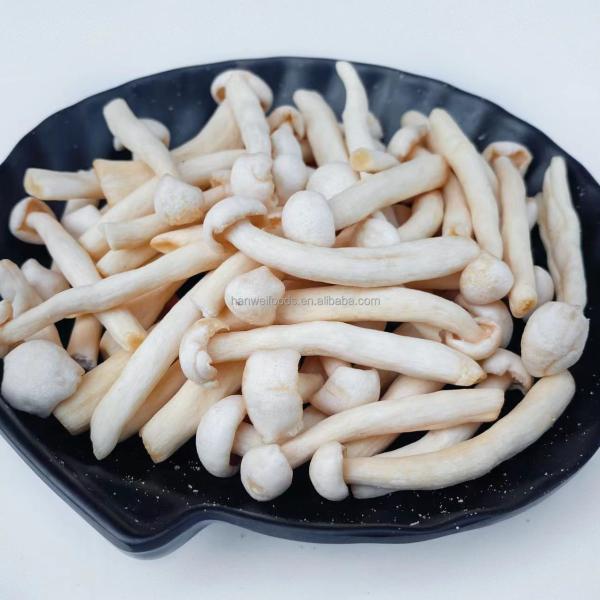 Natural Organic Snacks White Beech Mushroom Healthy Vegetable VF Shimeji