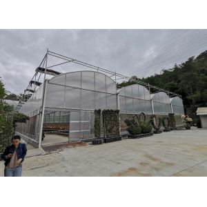 Single Layer Greenhouse Hydroponics System Wrought Iron Greenhouse With Film