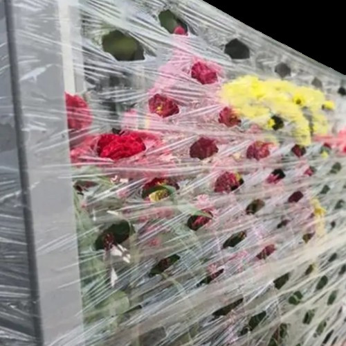 Quality Durable Wrap film with Holes 500mm X 1420m 23 Microns Thickness wholesale