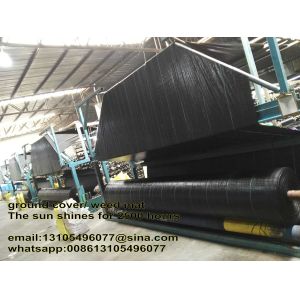 2016 high quality Woven geotextile/ PP weed control mat/Landscaping mats