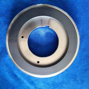 Durable Ceramic Sliding Bearing for Canned Motor Pump High Temperature and