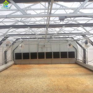 55000PPM Carbon Dioxide Concentration Sensor 5G CO2 Sensor For Greenhouse