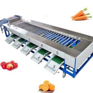 Fruit Weight Selecting Fruit Vegetable Processing Machine For Grading Sorting