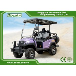 EXCAR Electric Hunting Buggy With Trojan Battery/Curtis Controller