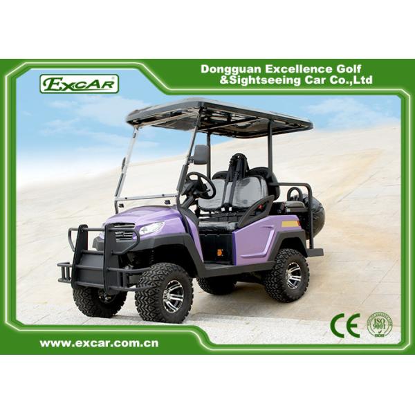 Quality EXCAR Electric Hunting Buggy With Trojan Battery/Curtis Controller wholesale