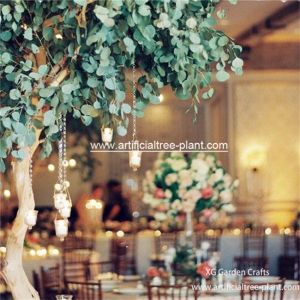 Solid Eucalyptus Leaves Artificial Evergreen Trees Wooden Box Packing