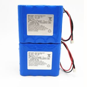 Lithium Ion Battery Pack 21700