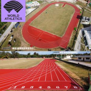 ProTrack ASTM Oval Competition Running Track Material EPDM Rubber Athletic
