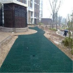 Tenglu Parking Lot and Driveway 500mm HDPE Grass Paving Grids in Plastic