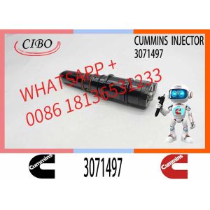 diesel Engine Parts PT N-STC INJECTOR 3071497/3064457 for cummins NTA855 G4