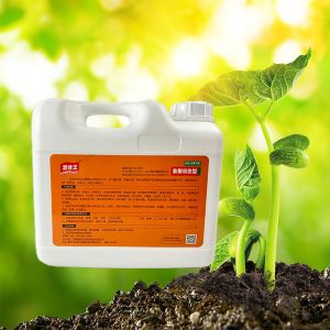 Green Food Grade Water Soluble Fertilizer For Vegetables