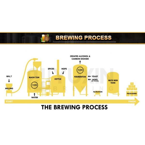 10BBL stainless steel craft beer brewery machine turnkey project with steam jacket for pub