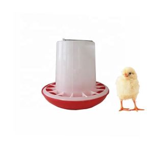 6kg New Material Plastic Feeder And Drinker For Chicken CoopJumbo / Poultry