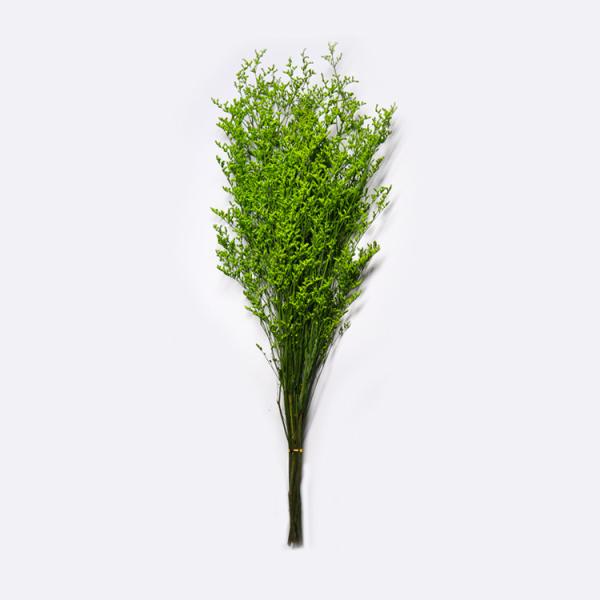 Quality Beautiful Preserving Eucalyptus Foliage Dry Desmodium For Craft wholesale