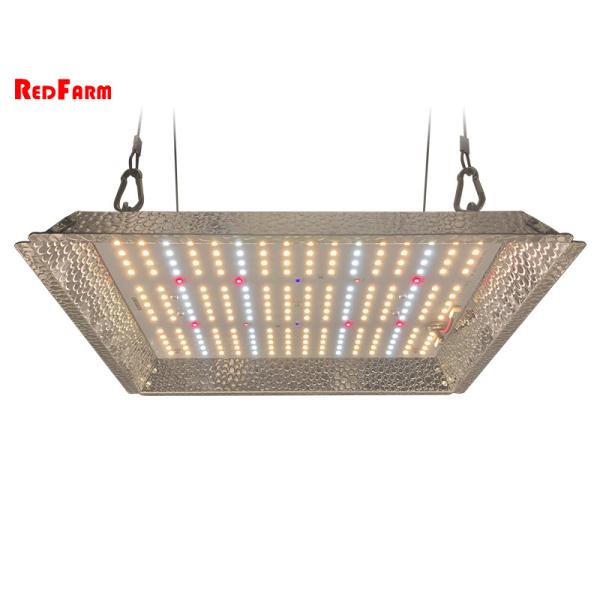 Quality 2x2 3x3 100w LED UV IR Daisy Chain Grow Lights wholesale