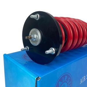 Car Whole Set Coil Shock Absorber with Yes Surface Finish Buyers