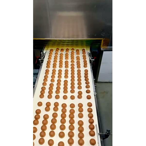 PLC 1000kg/H Forming Packing Filled Bun Automatic Bread Production Line