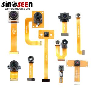OEM Flexible FPC DVP MIPI Camera Module Auto Focus Customization