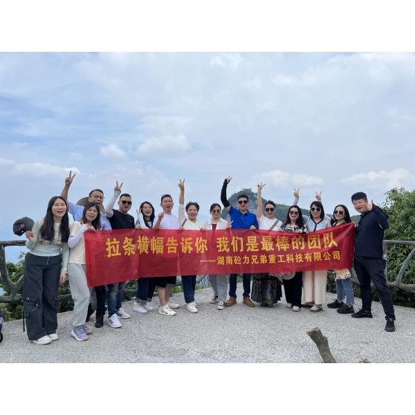 2020 Professional Concrete Mixer Trucks Zoomlion With Cylinder Structure