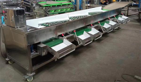 Quality apple grading machine, tomato sorting machine, garlic sorting machine wholesale