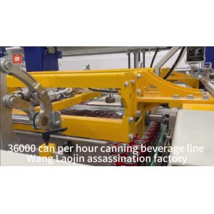 Sugarcane Juice Beverage Beer Can Packaging Machine Equipment OEM