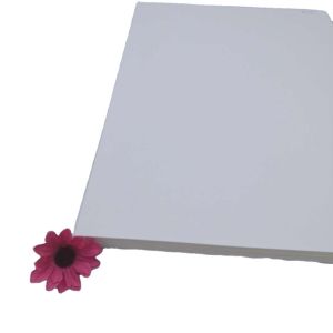 Single Side Coating 250g300g Chemical-Mechanical Pulp Folding box board for