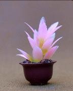 model potted plan,1:20model material,decoration fllower,artificial pot,1:25,3CM potted plant