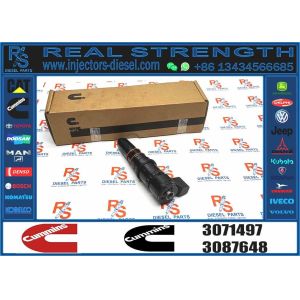 China Fuel injector Assembly M11 PT 3064881 3071497 Fuel injector on sale