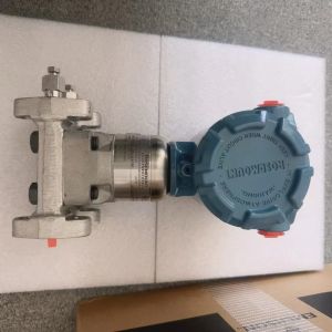 Rosemount 3051TG1A2B21A Gauge Pressure Transmitter for Process Control