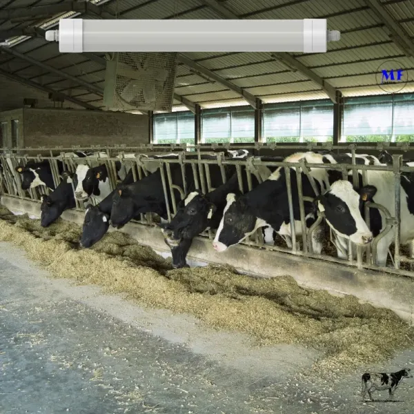 Factory Price Plastic Alu. Ik10 IP69K 0~10V Dim CCT Power Adjustable 170lm/W 1.6m Anti-Ammonia Chicken Farmyard Livestock LED Sheep Cow Diary Tri-Proof Light