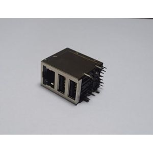 Customized 90 Degree Network RJ45 Modular Connector 10 Pin With Dual USB