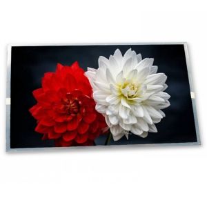 Cheap 2.9-Inch WLED TFT LCD Display Module LS029B3SX02 1440*1440 Resolution LCD Modules ODM Supplier for sale