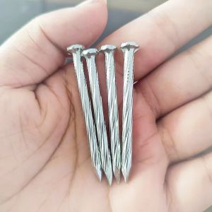 Spiral Twisted Electro Galvanised Nails Galvanized Concrete Steel Nails