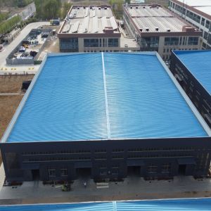 Pre Engineered Steel Structure Warehouse with 50-Year Lifespan
