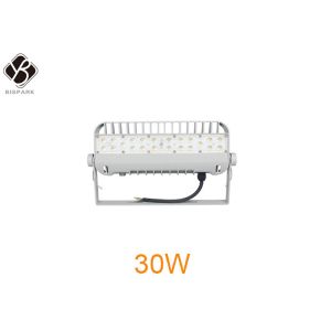 High Output 30W IP66 LED Outside Flood Lights OEM / ODM Bridgelux LED Chip